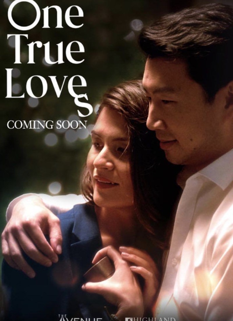Everything We Know So Far About The One True Loves Movie Adaptation